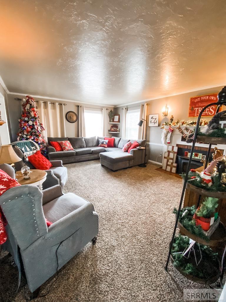 838 North 450 East Firth, ID 83236 - Photo 13 of 56