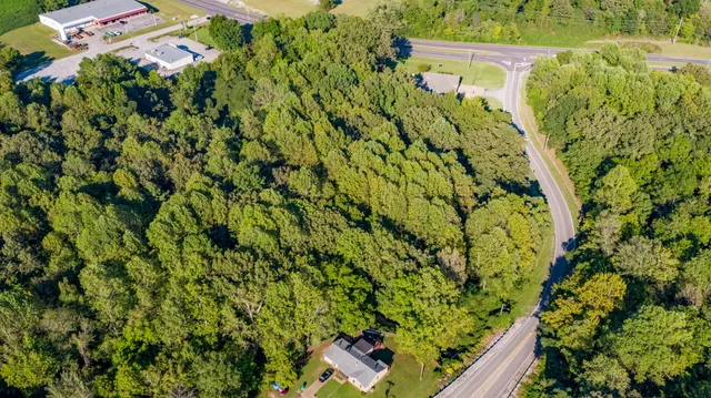 a view of a yard with plants