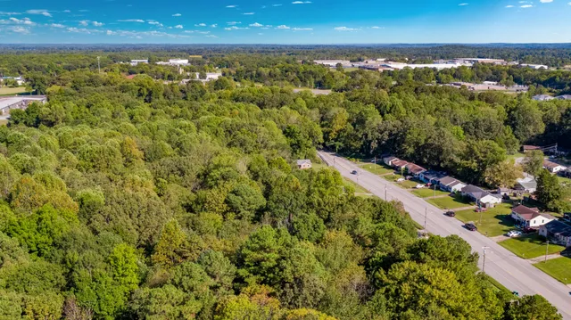 a view of a yard with plants and large trees