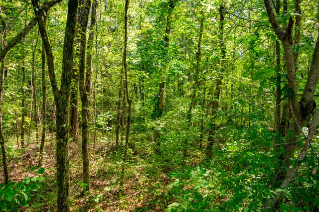 a view of a outdoor space