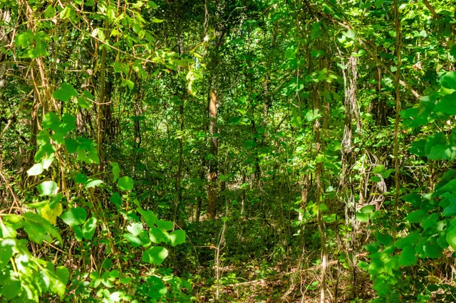 $55,000 | 961 Whitehall Street, Jackson, TN 38301