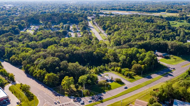 a view of a garden with flowers