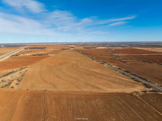 a view of a dry yard with wooden fence