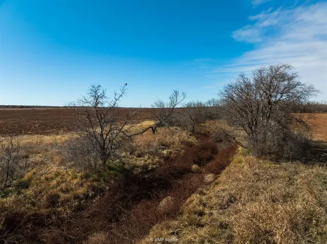 a view of an ocean beach