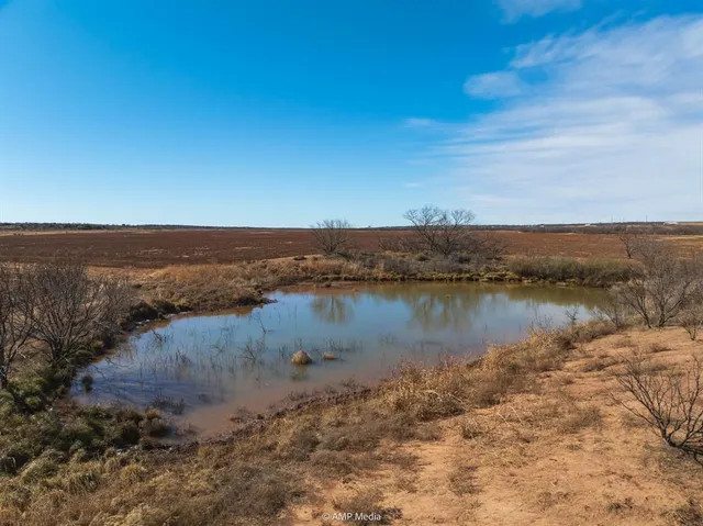 a view of an ocean beach