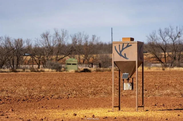 a view of a street with a building in the background
