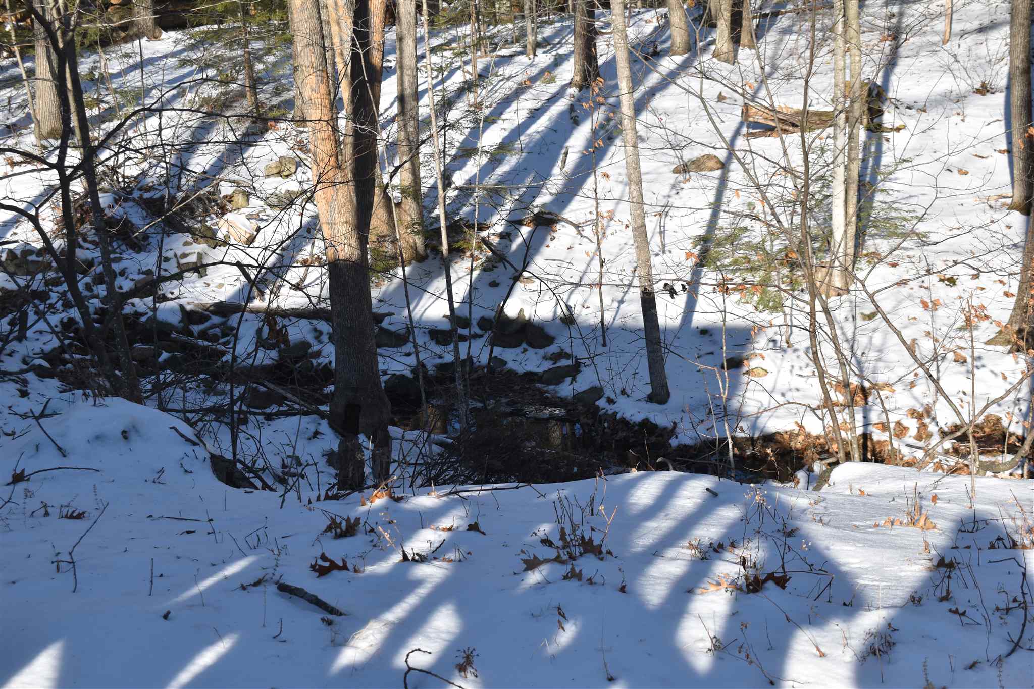 11 Hook Road Gilford, NH 03249 - Photo 8 of 25