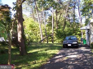 340 Larch Road Mount Laurel, NJ 08054 - Photo 2 of 4