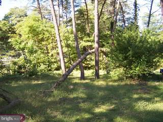 340 Larch Road Mount Laurel, NJ 08054 - Photo 3 of 4