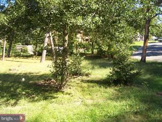 340 Larch Road Mount Laurel, NJ 08054 - Photo 4 of 4