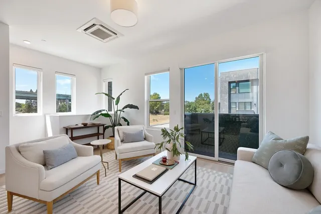 a living room with furniture and a potted plant
