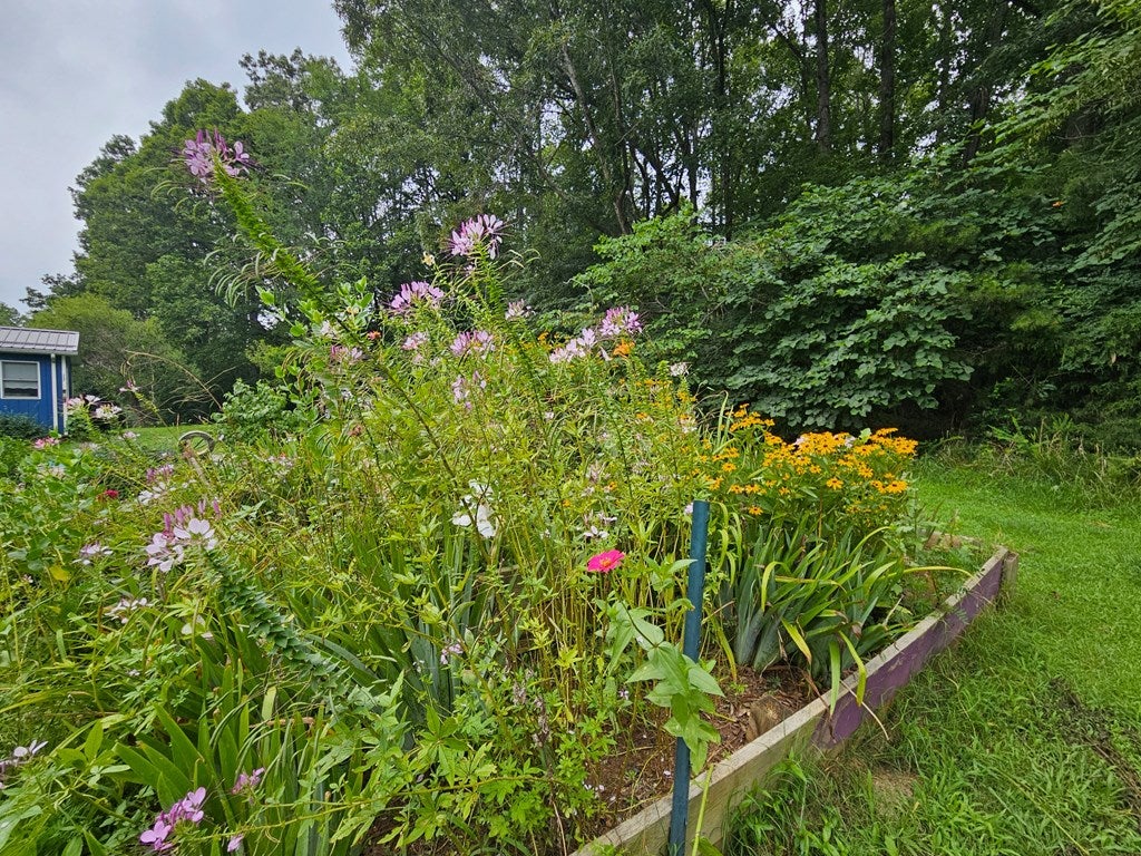 266 Legrande Road Dillwyn, VA 23936 - Photo 13 of 57 Gallery Image 13