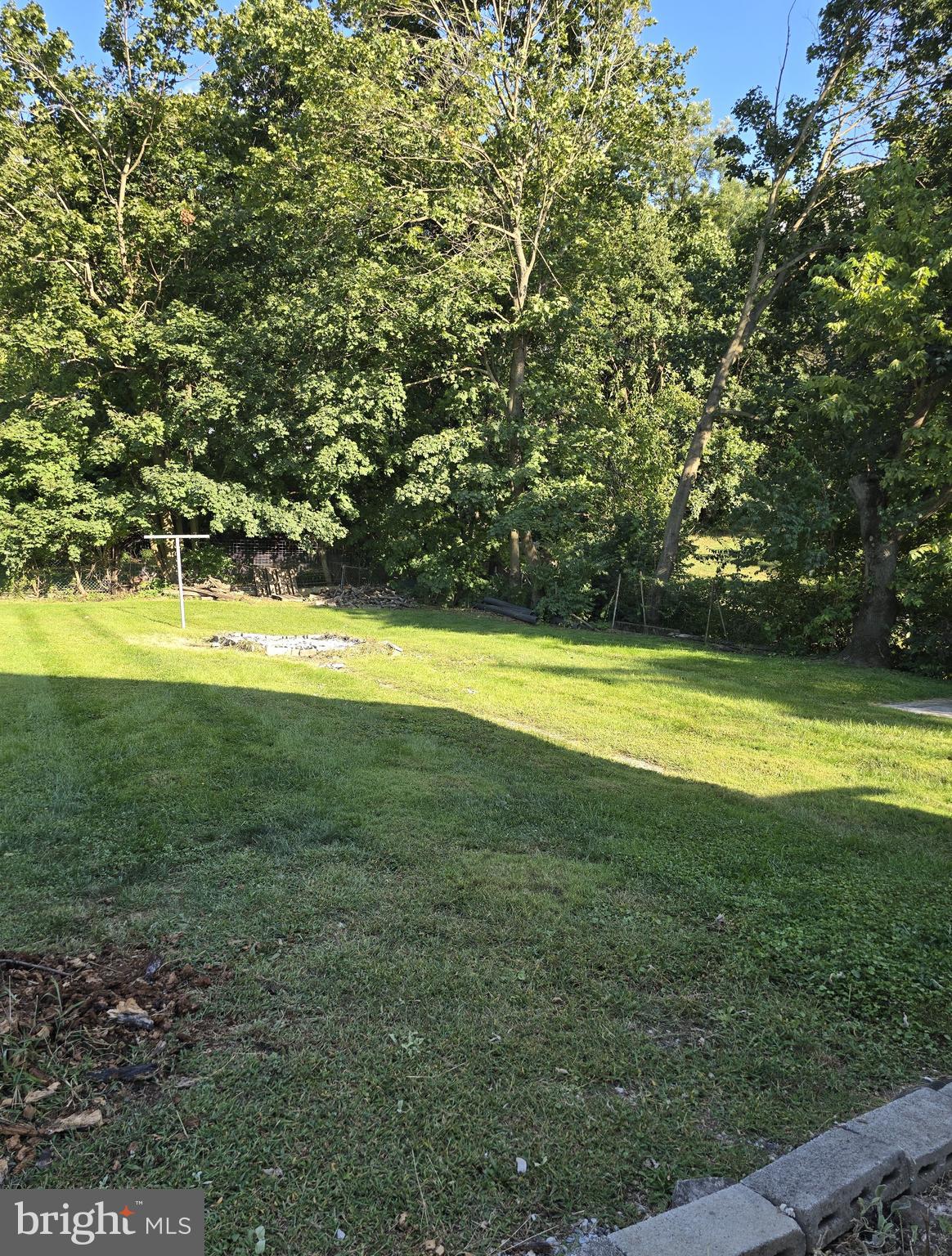 115 South Lightner Street Union Bridge, MD 21791 - Photo 18 of 19 a view of a yard with a large trees