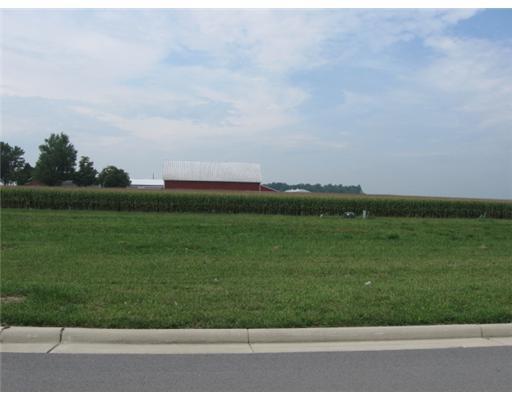 0 Line, Unit LOT14 Minster, OH 45865 - Photo 5 of 8
