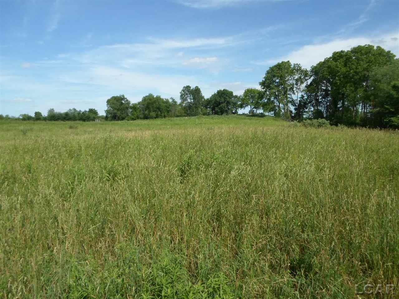 12000 Stephenson Road, Unit PARCEL A Brooklyn, MI 49230 - Photo 26 of 49