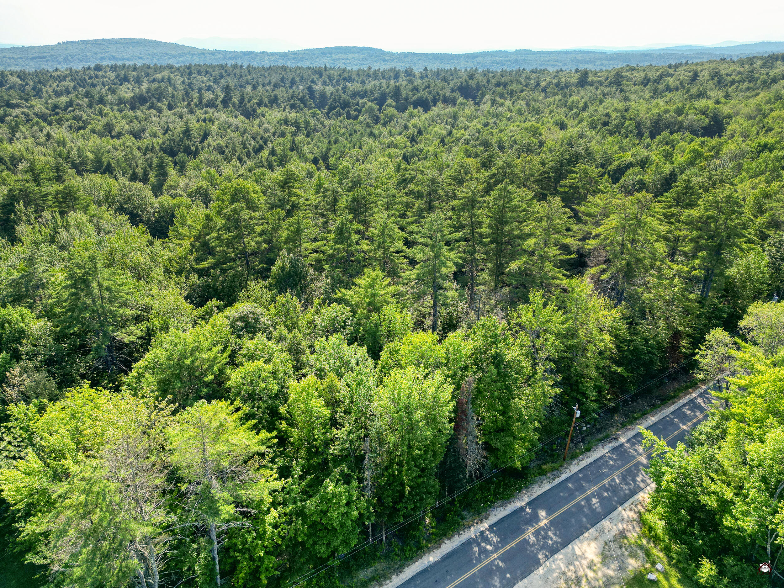 Bell Hill Road
