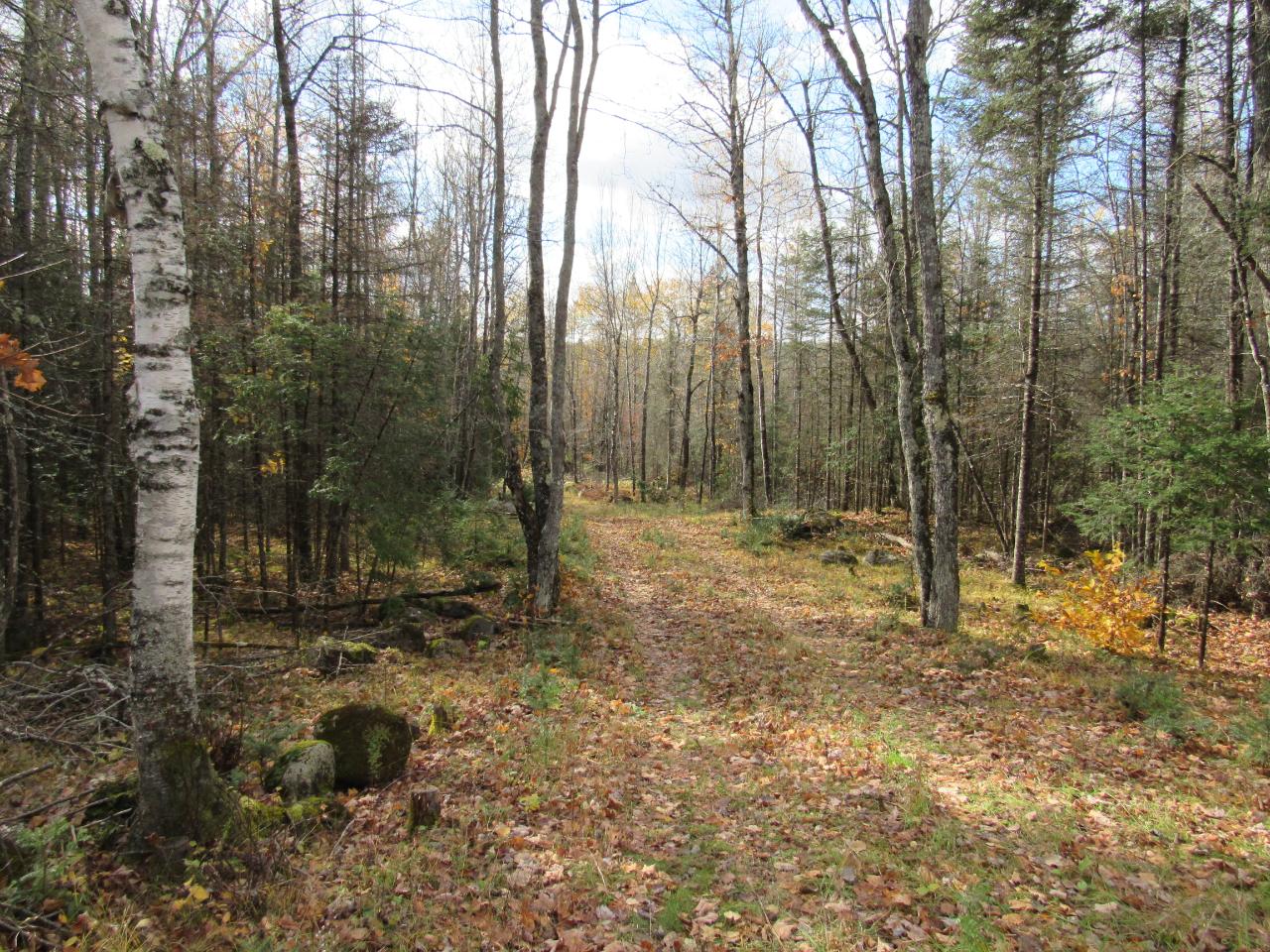 On Sheltrow Road, Unit LOT 3 Crystal Falls, MI 49920 - Photo 13 of 13 Gallery Image 13
