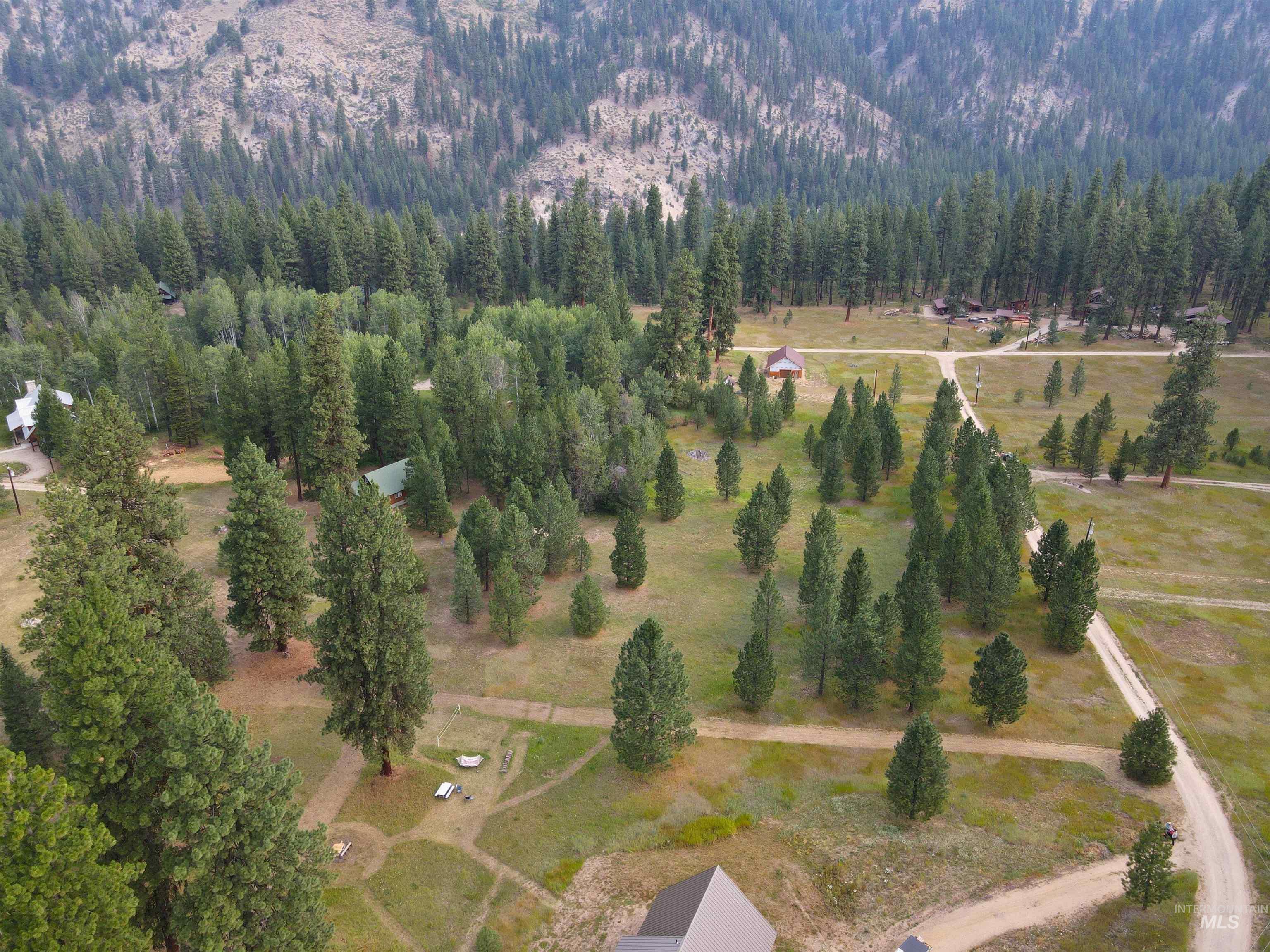 Tbd Tbd Lowman, ID 83637 - Photo 4 of 7