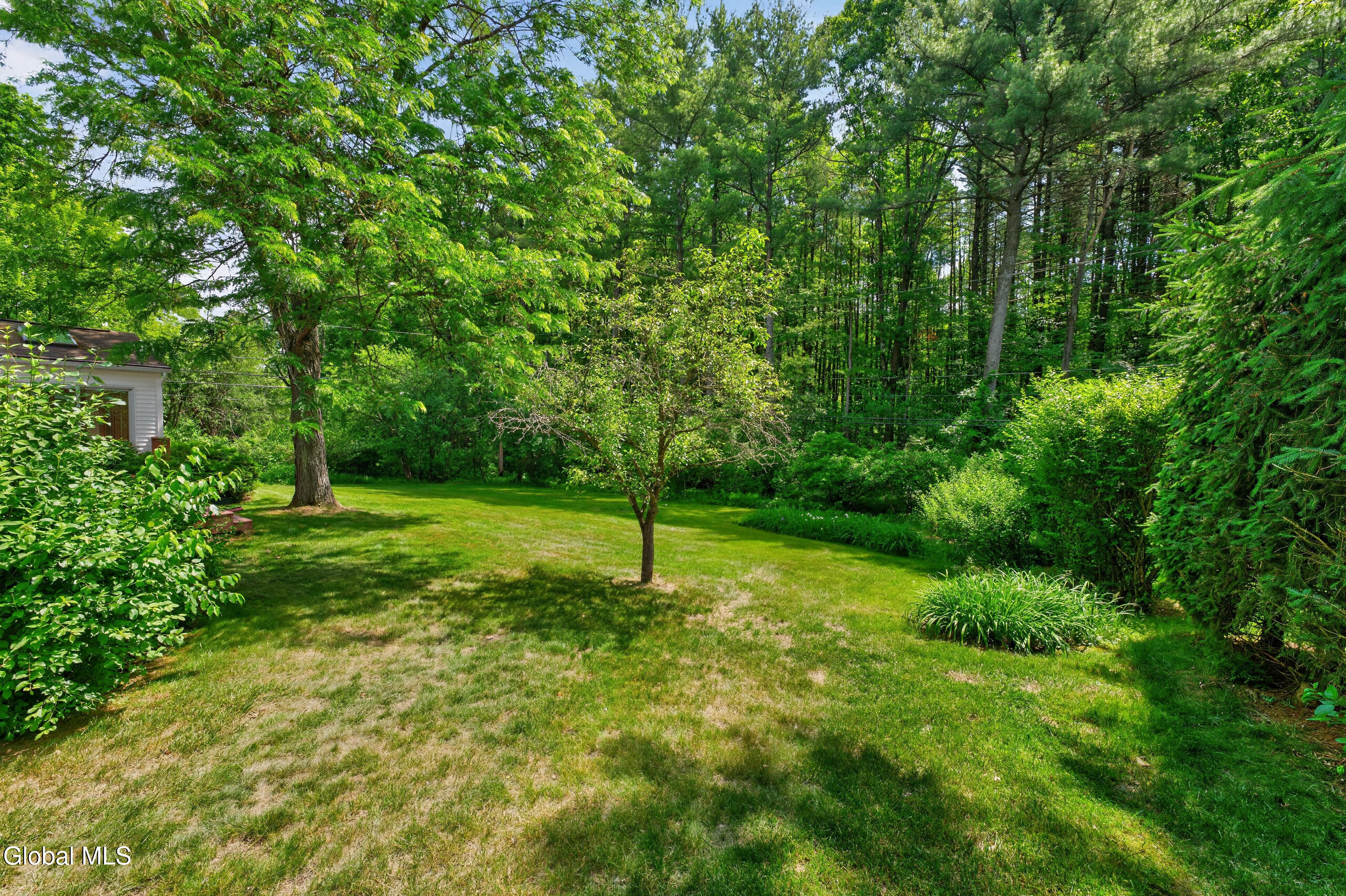 1222 Hempstead Road Niskayuna, NY 12309 - Photo 46 of 52 Yard 1
