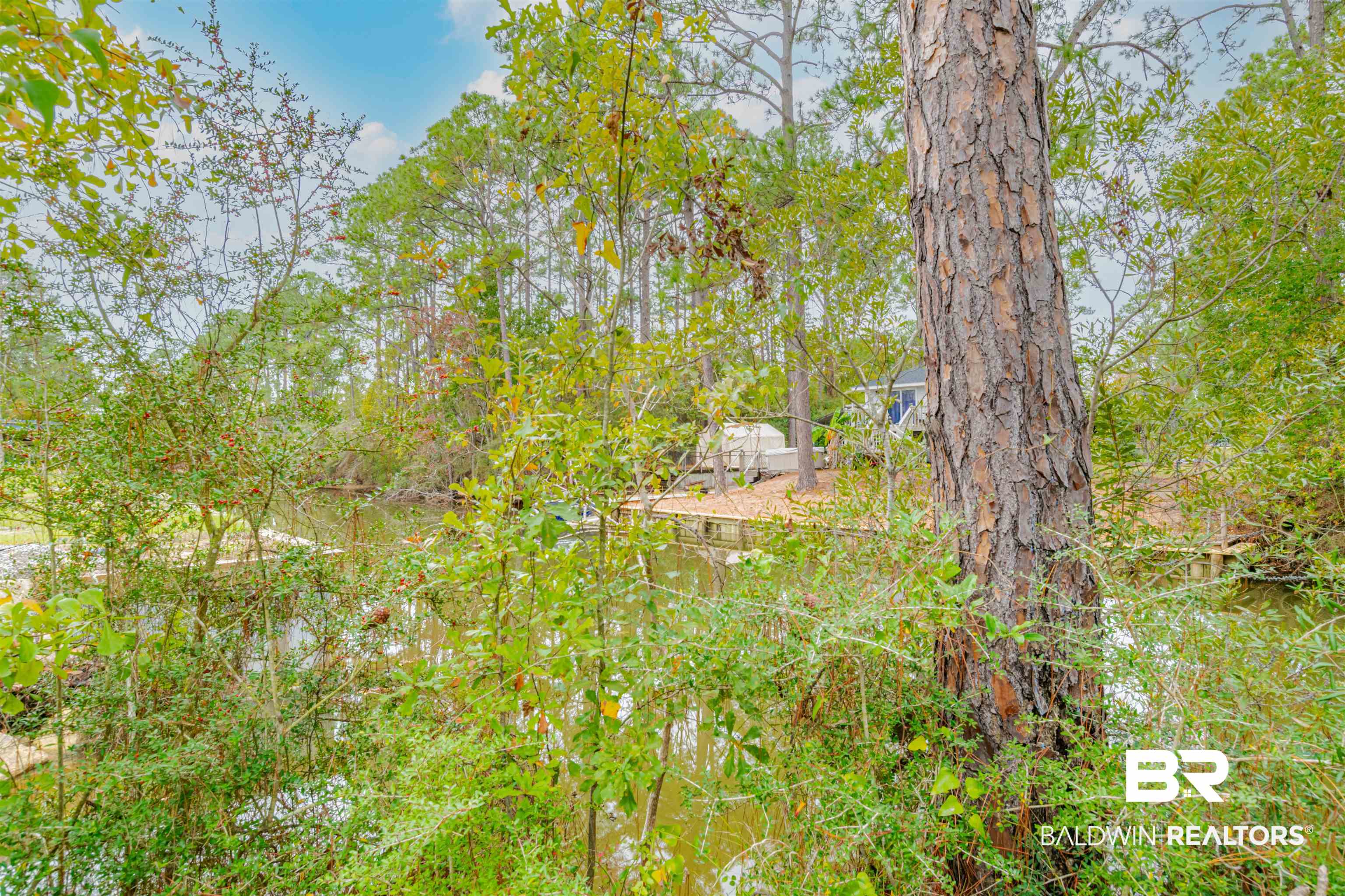 15330 Delta Port Boulevard Coden, AL 36523 - Photo 7 of 32