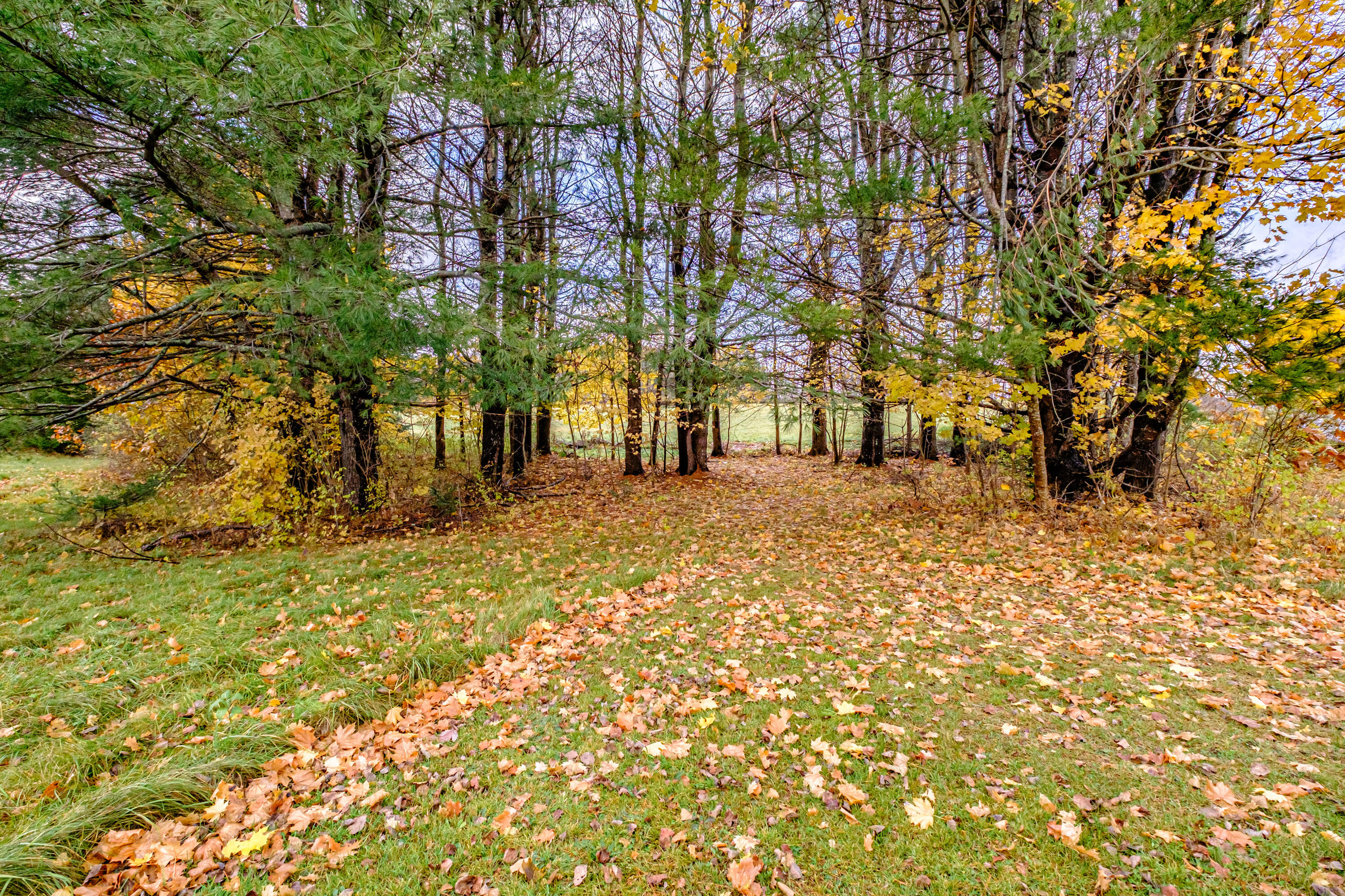 2536 Western Road Warren, ME 04864 - Photo 44 of 56 2536 Western Road, Warren