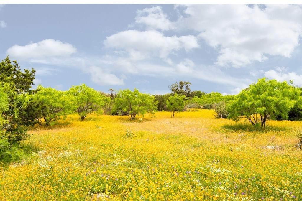 12757 State Highway Hext, TX 76848 - Photo 15 of 70