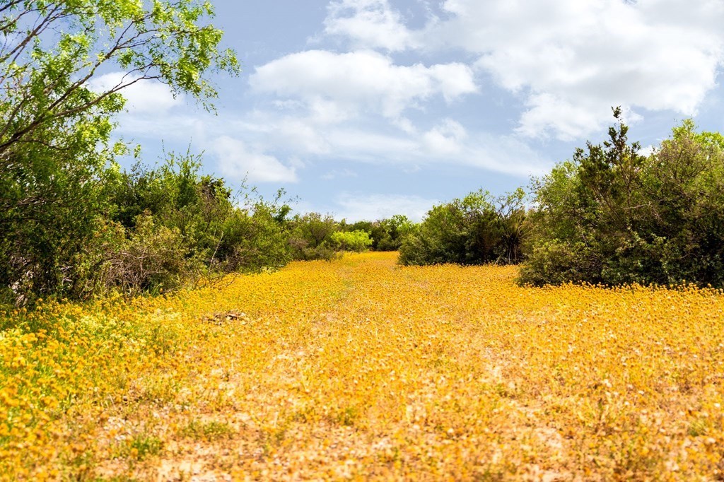 12757 State Highway Hext, TX 76848 - Photo 17 of 70