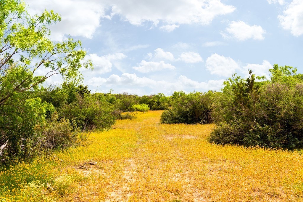 12757 State Highway Hext, TX 76848 - Photo 18 of 70