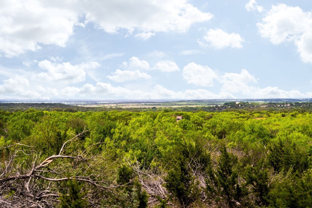 12757 State Highway Hext, TX 76848 - Photo 22 of 70