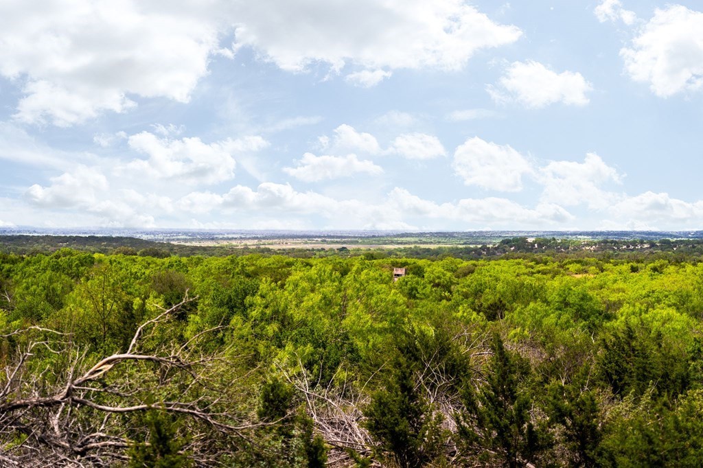 12757 State Highway Hext, TX 76848 - Photo 23 of 70