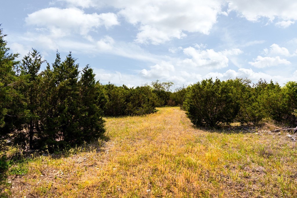 12757 State Highway Hext, TX 76848 - Photo 27 of 70