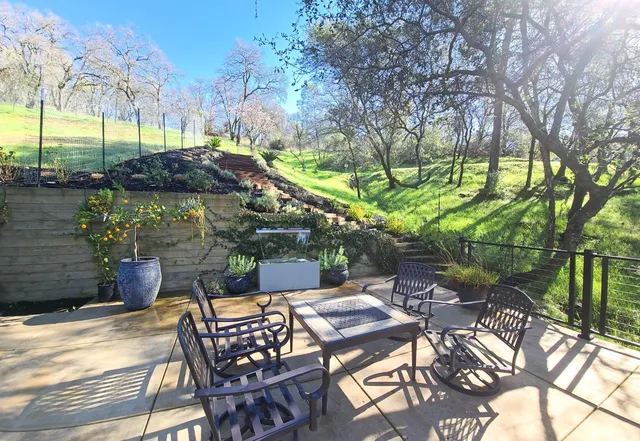 a view of a yard with a tree