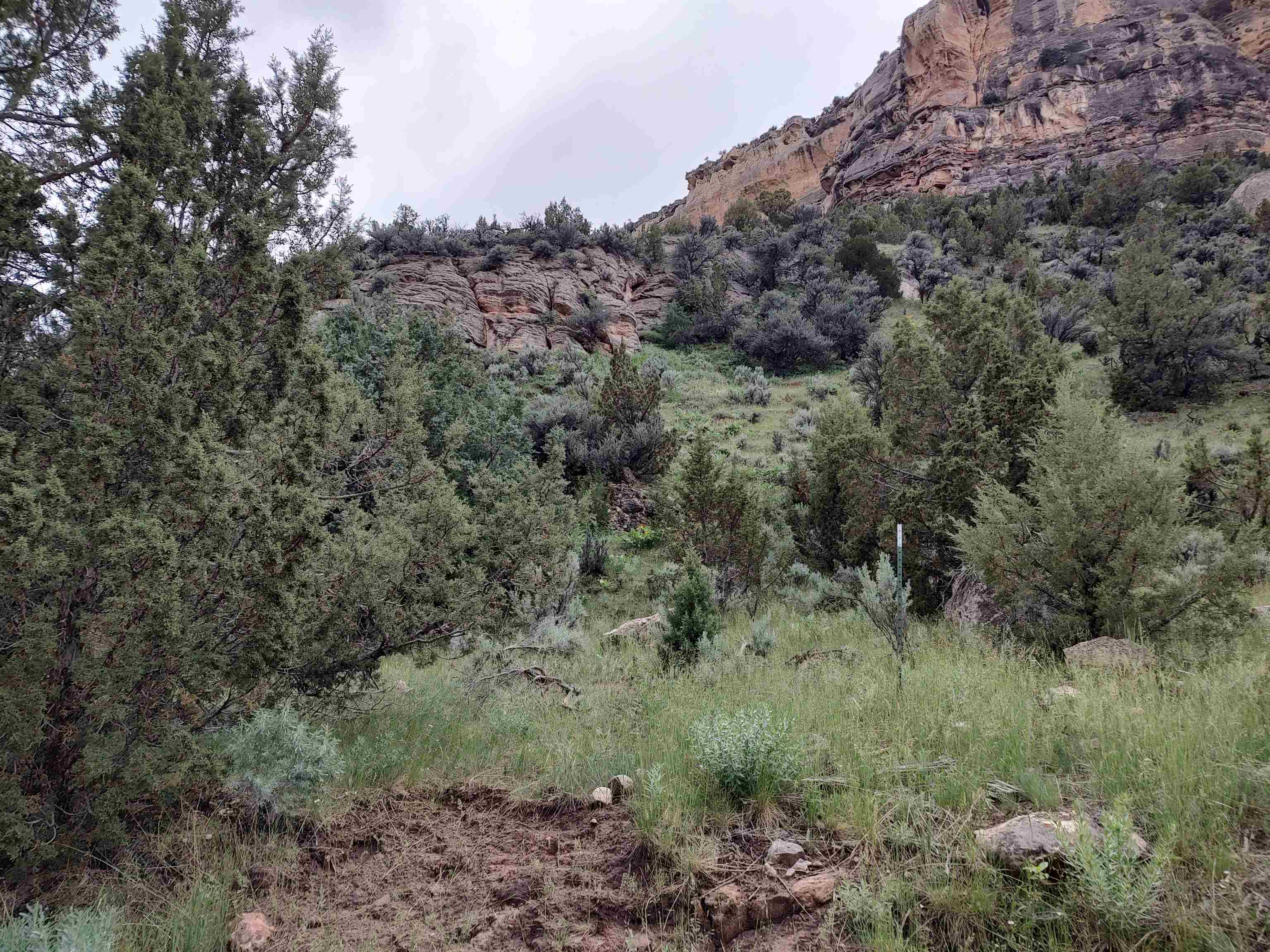 100 Smilo Draw Roads Ten Sleep, WY 82442 - Photo 18 of 18