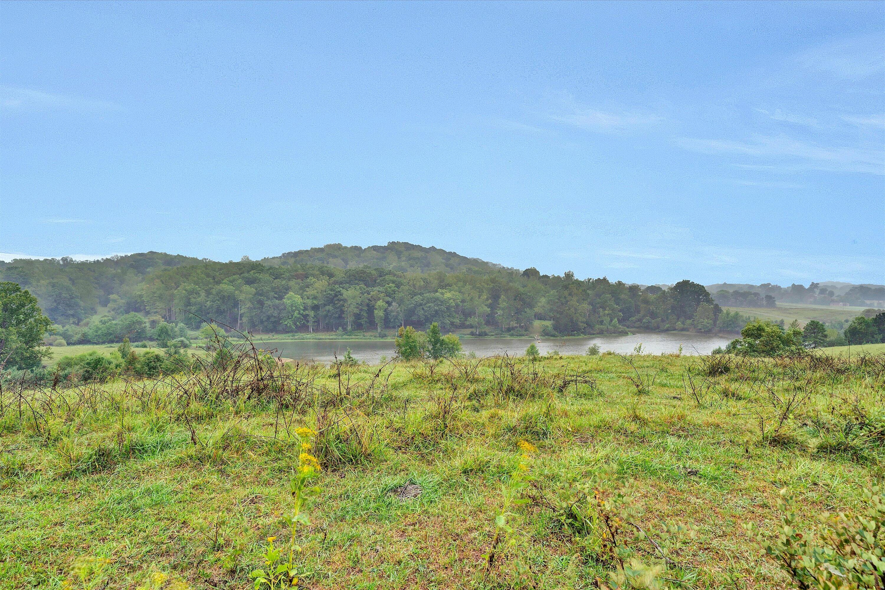 1420 Mill Iron Road Goodview, VA 24095 - Photo 39 of 48 39-DSC05466-103