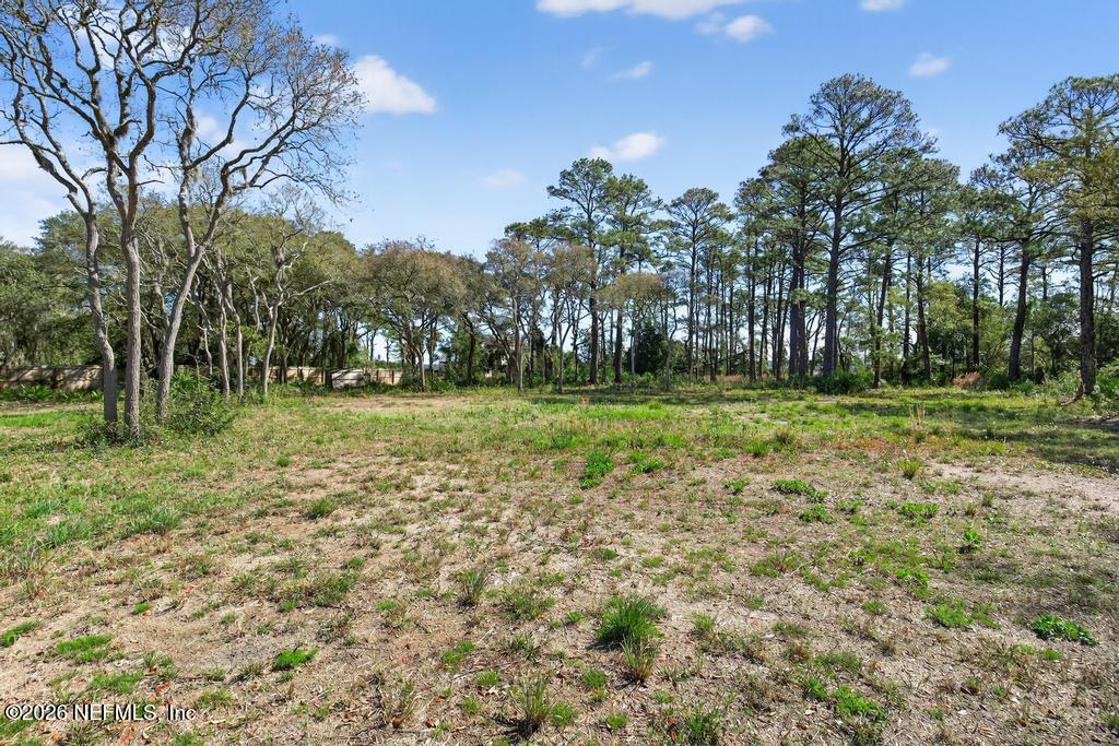 13003 Sawpit Road Jacksonville, FL 32226 - Photo 46 of 66 Land has been partially cleared to marsh