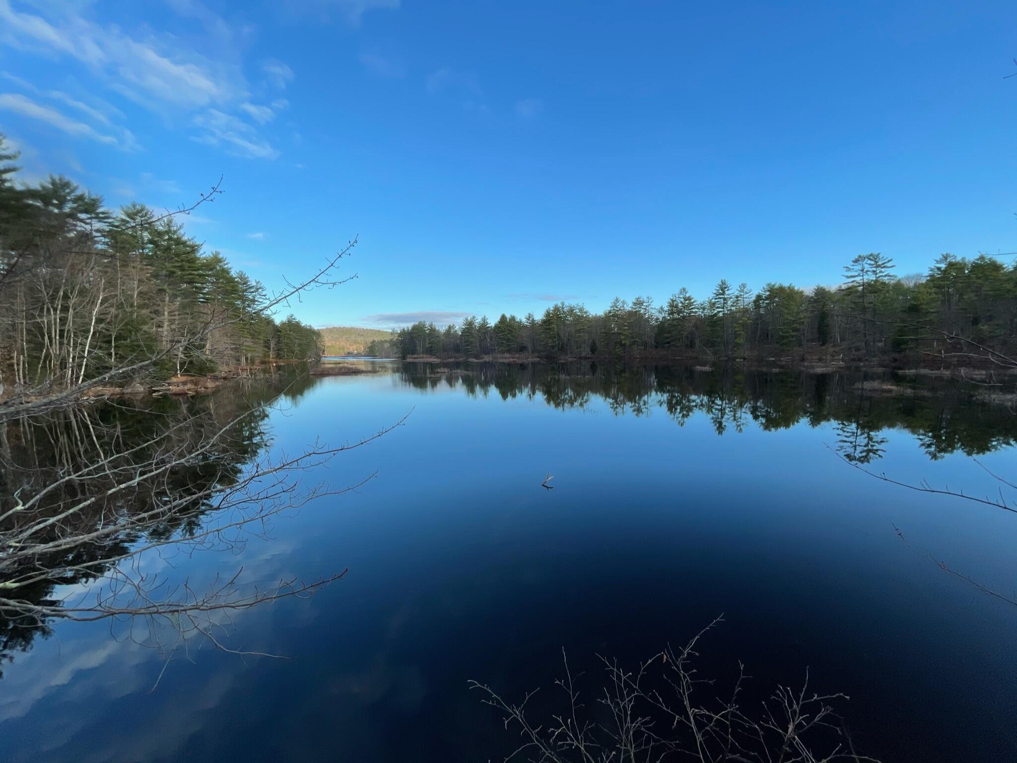 42 Town Pound Road Porter, ME 04068 - Photo 95 of 112 IMG_0042
