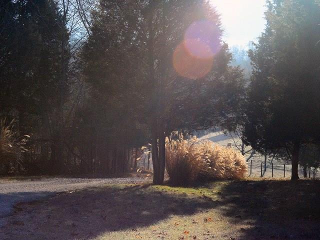 3592 Flatrock Road Salem, IN 47167 - Photo 6 of 8