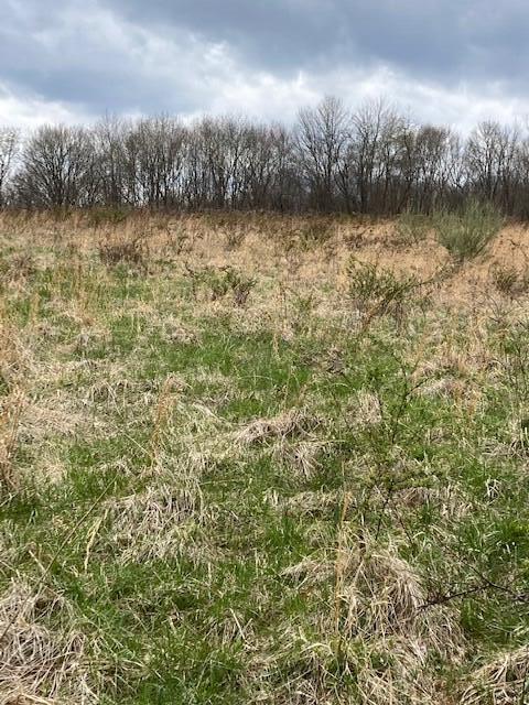 0 Mt Olive Road Rockbridge, OH 43149 - Photo 3 of 8 Mt Olive Field