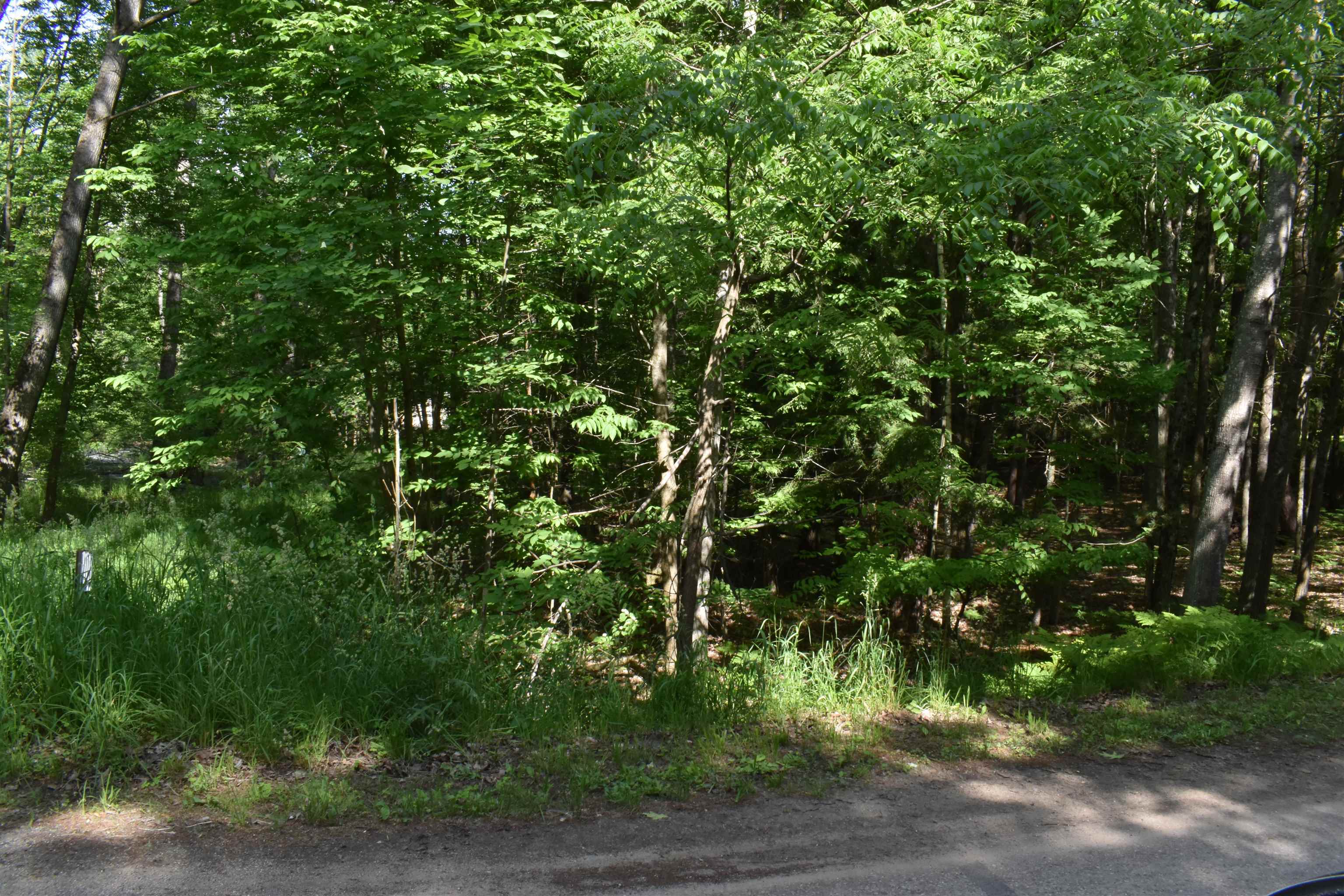 Lot 196 Princess Way Gladwin, MI 48624 - Photo 2 of 12