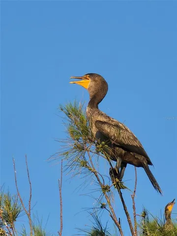 $1,750 | 6009 Sea Ranch Drive, Unit 804, Hudson, FL 34667