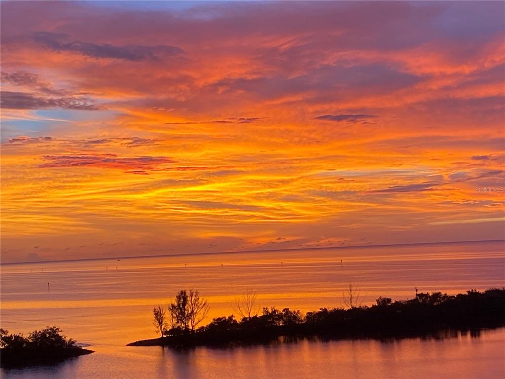 6009 Sea Ranch Drive, Unit 804 Hudson, FL 34667 - Photo 61 of 73 a view of an ocean