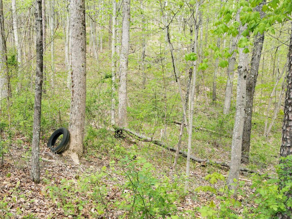 Lot 6 Tennant Road Ray, OH 45672 - Photo 8 of 12 07