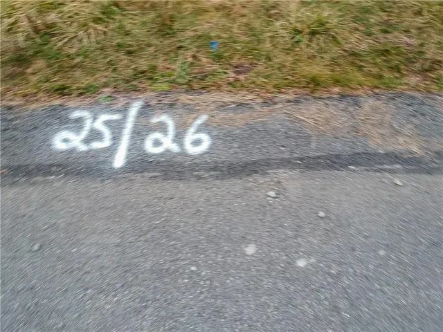 a view of a wooden floor
