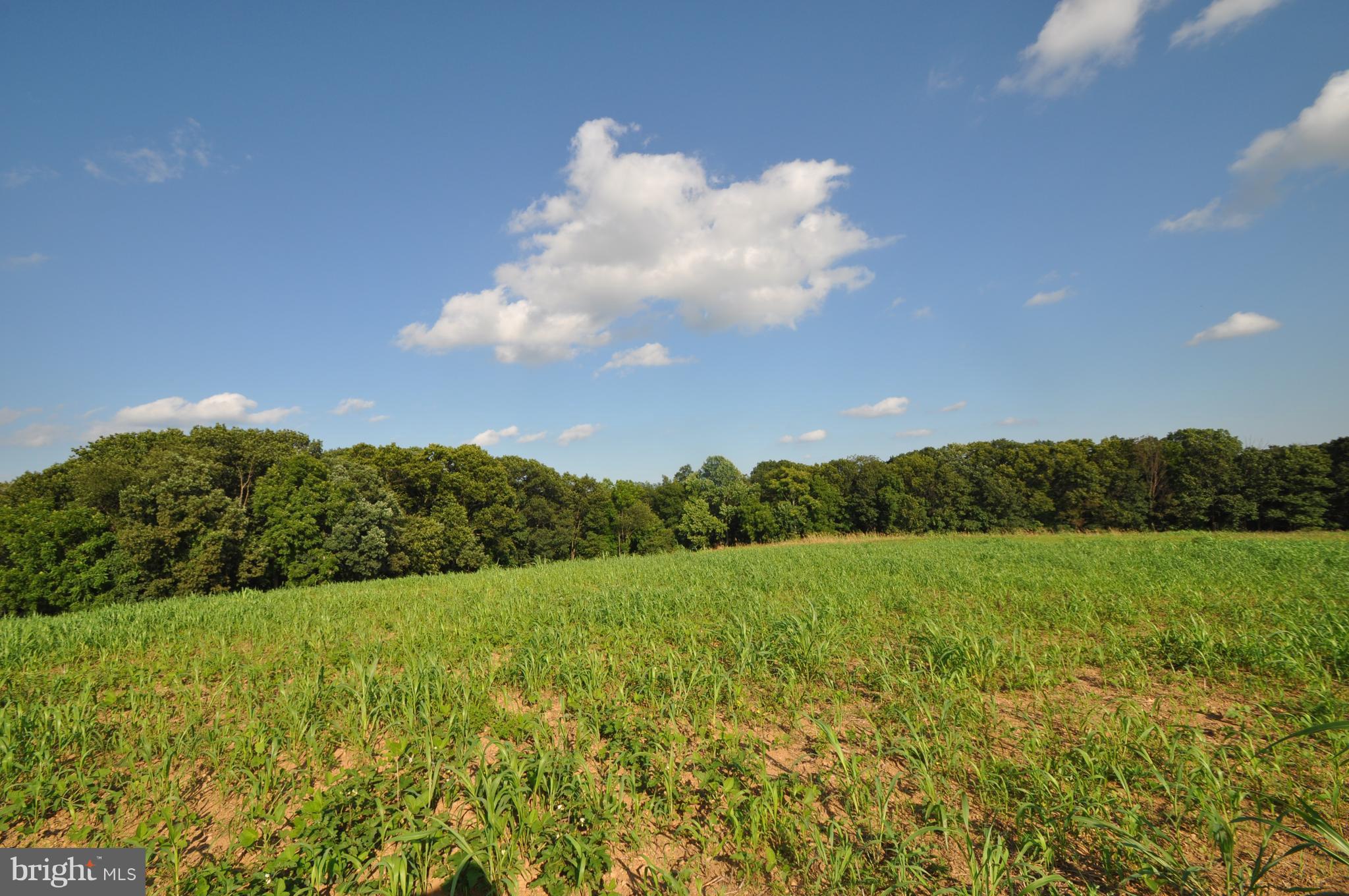 231 North Tannery Road Westminster, MD 21157 - Photo 1 of 23 AMERICA THE BEAUTIFUL!