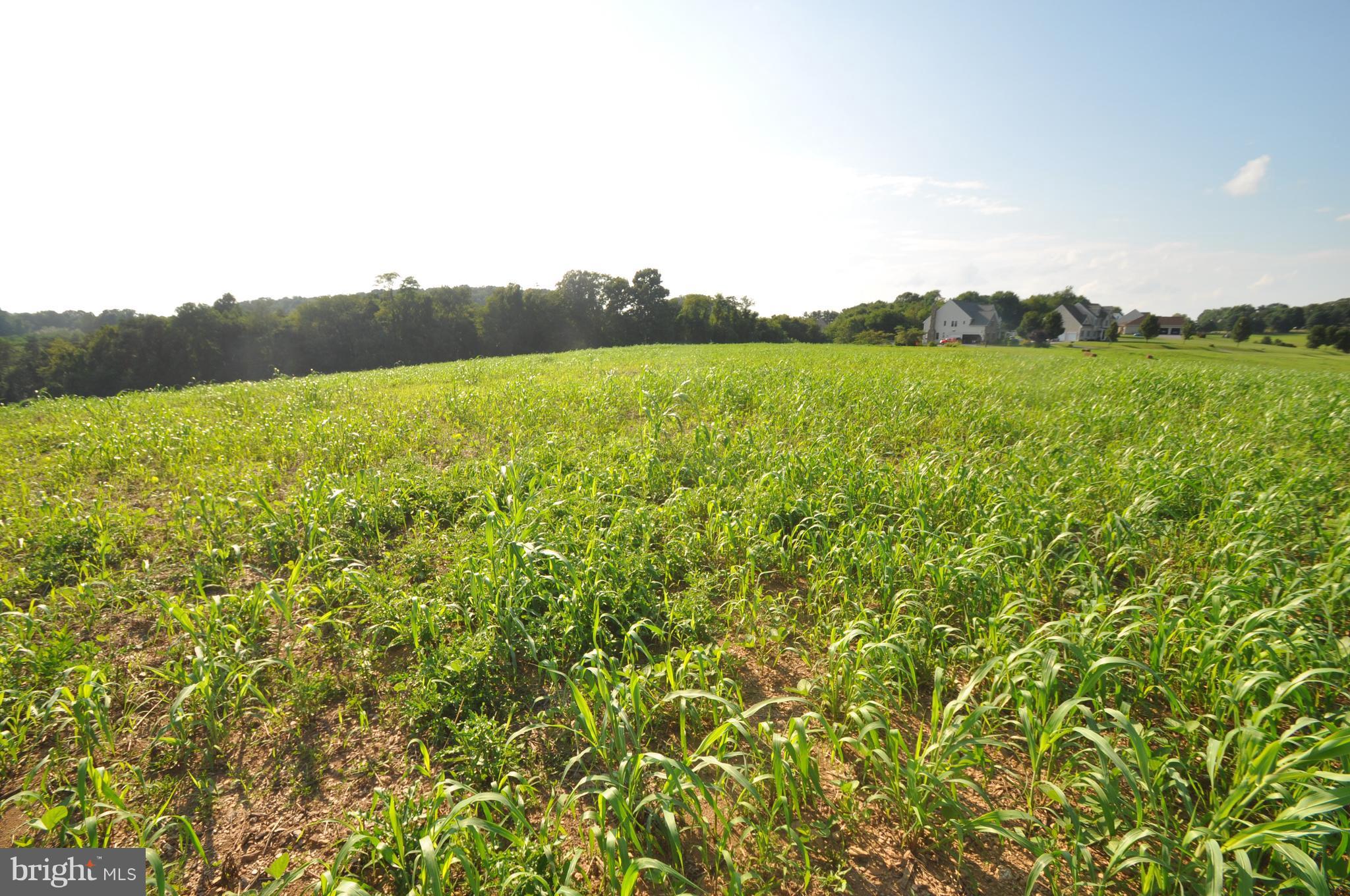 231 North Tannery Road Westminster, MD 21157 - Photo 11 of 23 ROLLING HILLS OF CARROLL COUNTY!)