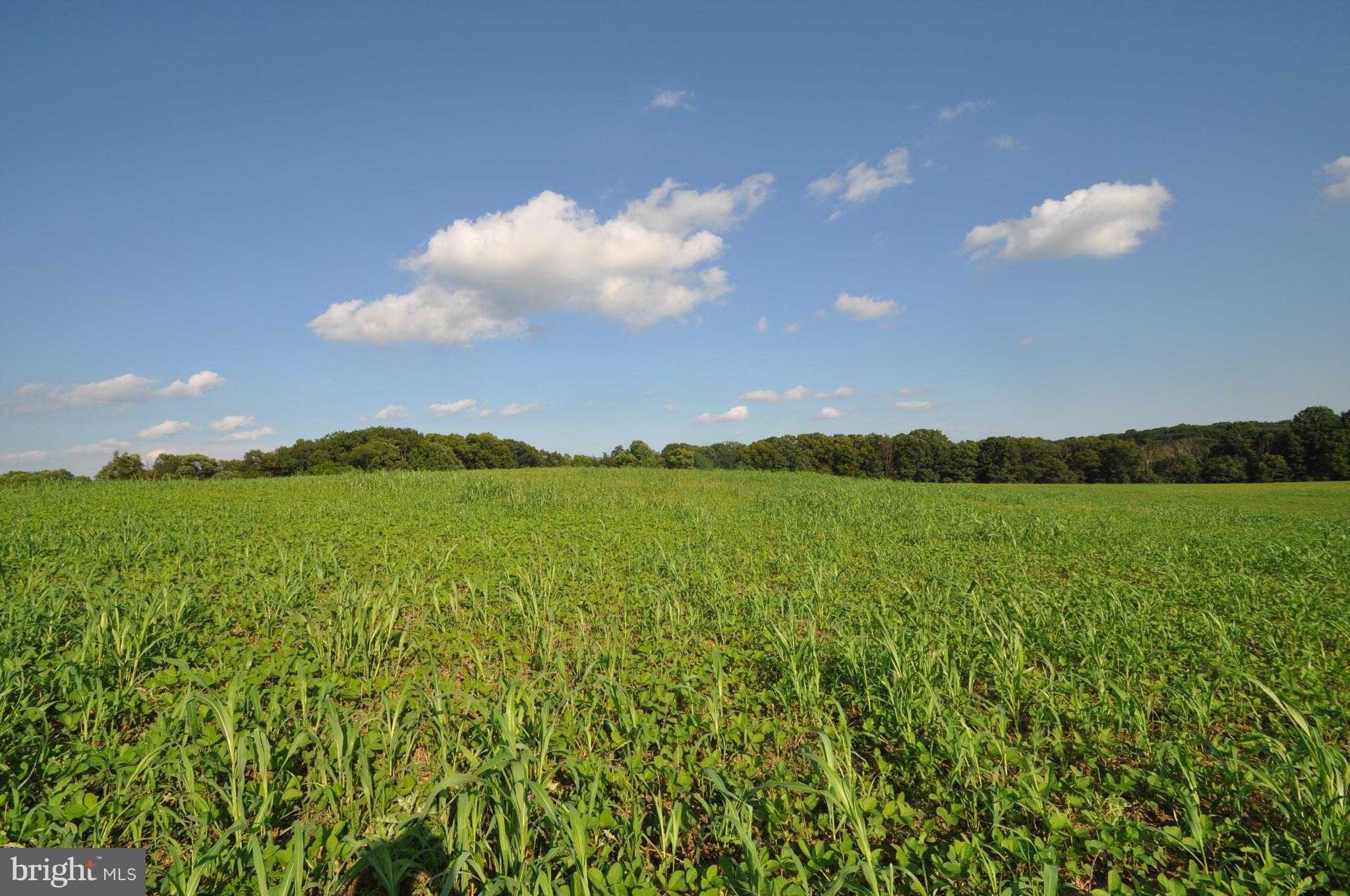 231 North Tannery Road Westminster, MD 21157 - Photo 13 of 23 SURROUND YOURSELF WITH BREATHTAKING VIEWS!