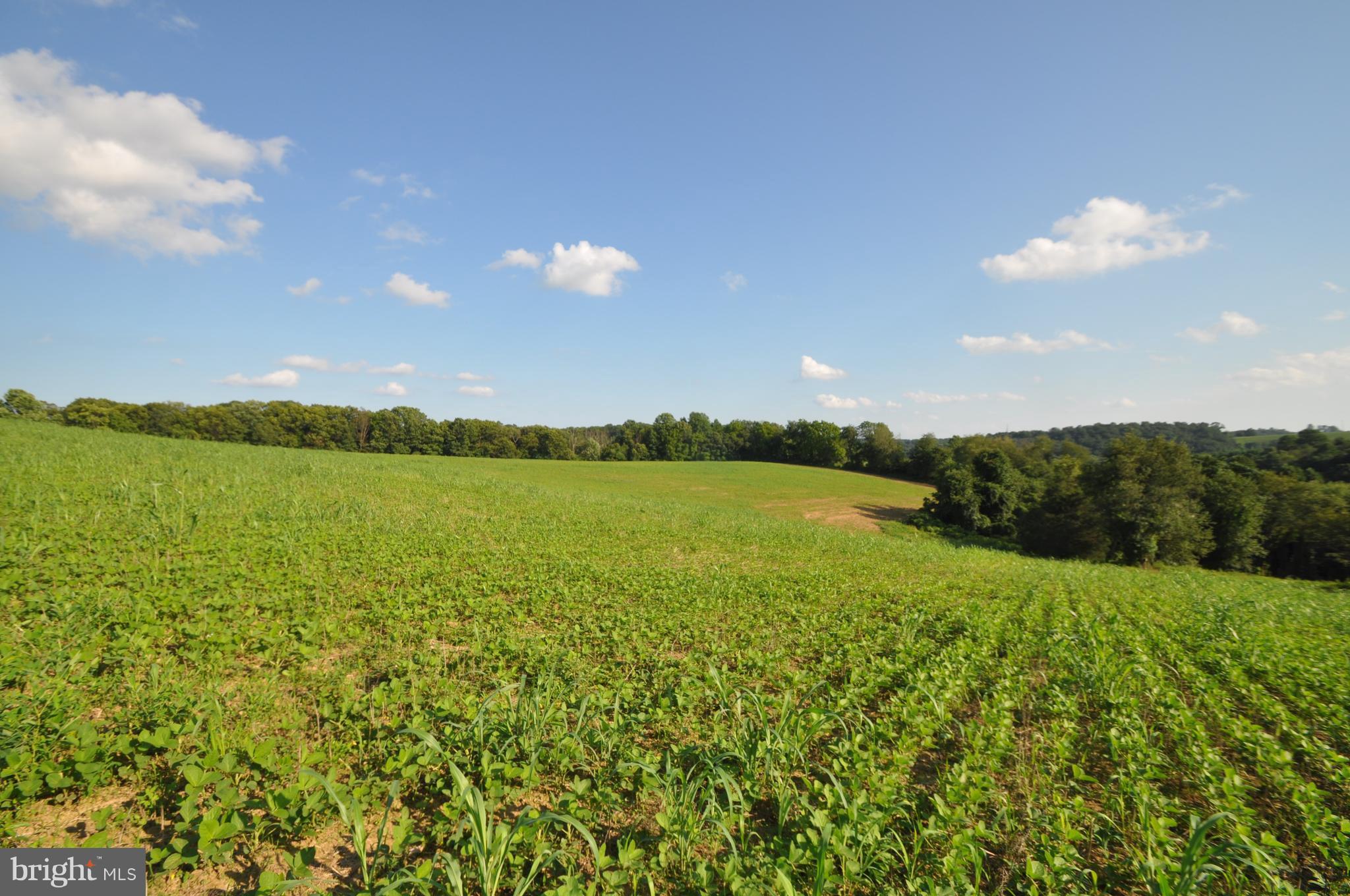 231 North Tannery Road Westminster, MD 21157 - Photo 14 of 23 SPECTACULAR VIEWS.