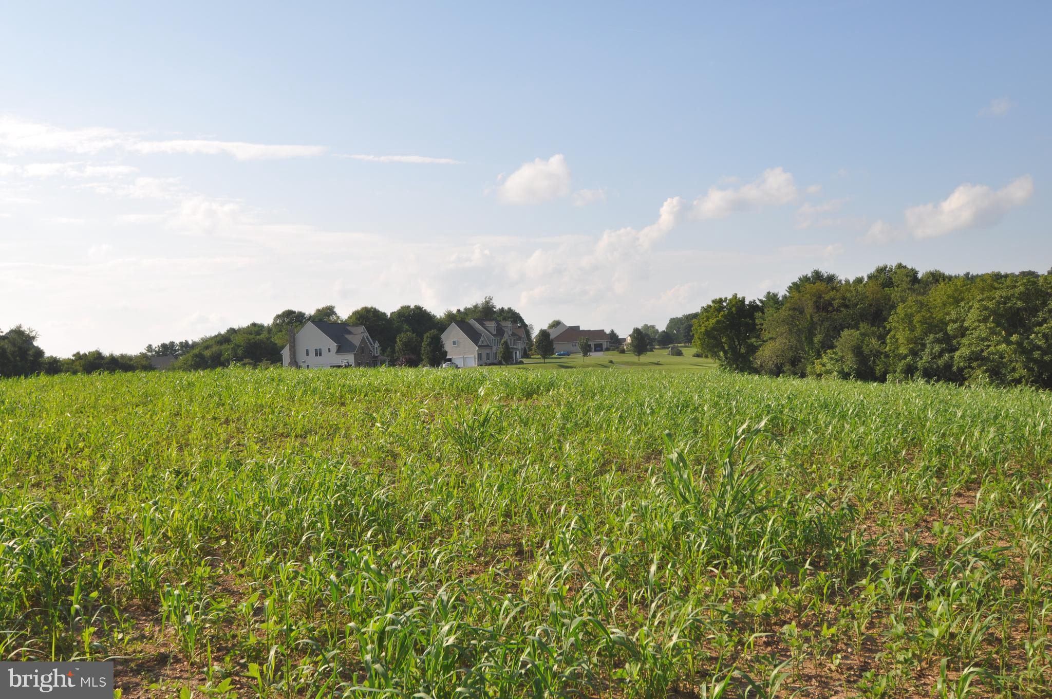 231 North Tannery Road Westminster, MD 21157 - Photo 5 of 23 BEAUTIFUL HOMES IN THE DISTANCE.