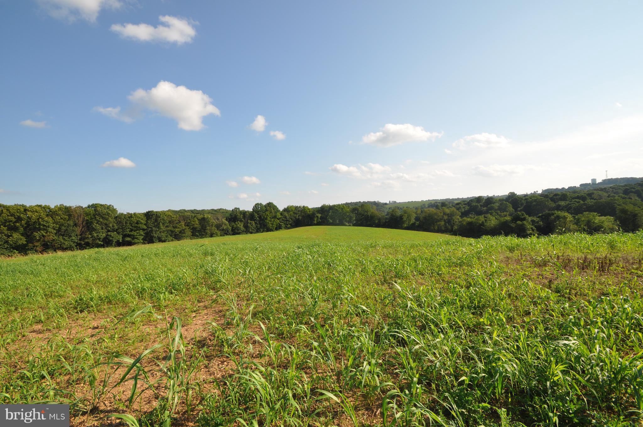 231 North Tannery Road Westminster, MD 21157 - Photo 7 of 23 BRING YOUR HORSES,THEY'LL BE SO HAPPY.