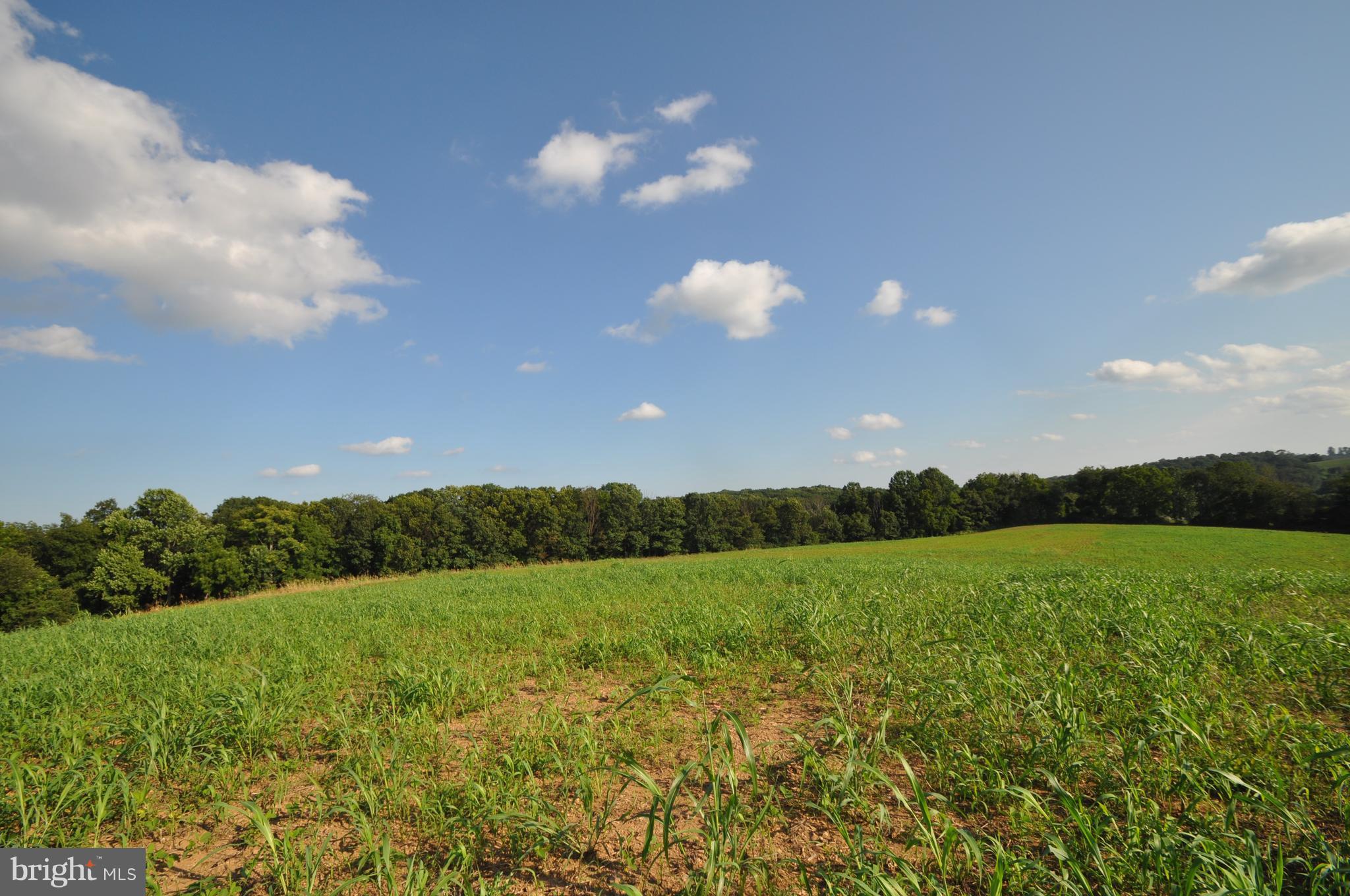 231 North Tannery Road Westminster, MD 21157 - Photo 8 of 23 BUILD YOUR HOUSE HERE! WHAT A VIEW!!